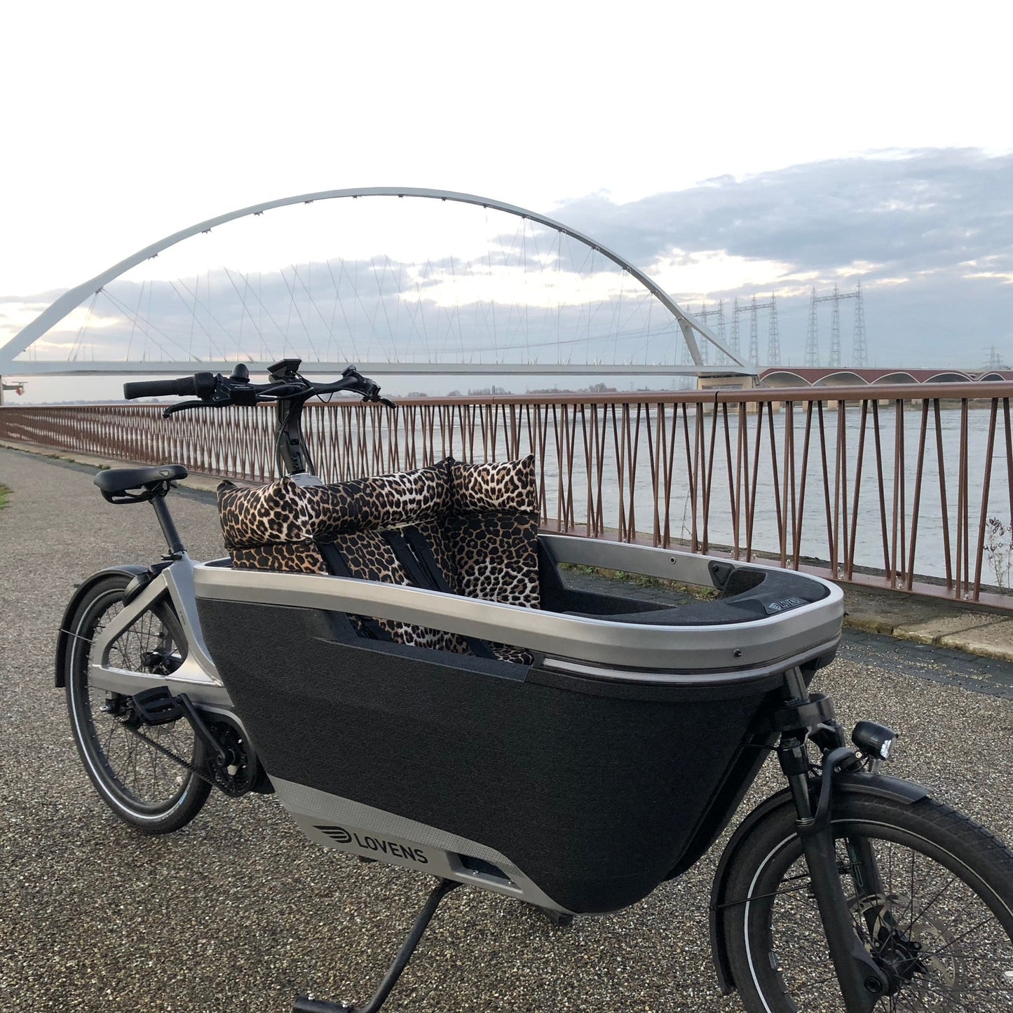 Lastenfahrrad Kissen Lovens - Leopard